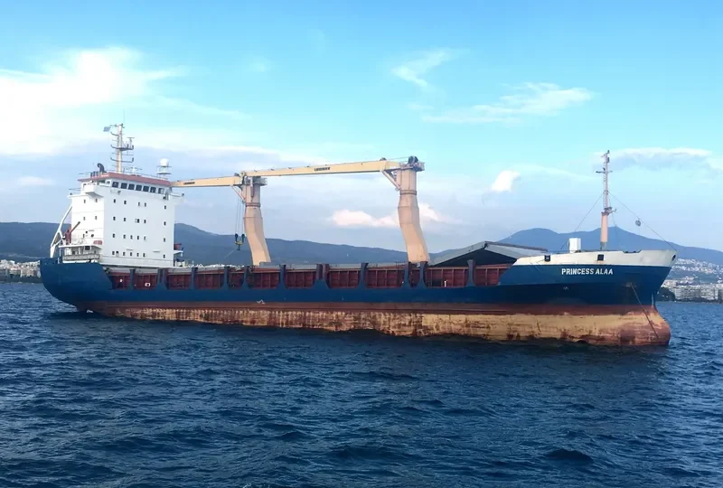 PRINCESS ALAA General Cargo IMO 9014286