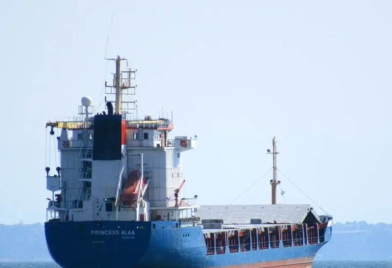 PRINCESS ALAA General Cargo IMO 9014286 photo 2
