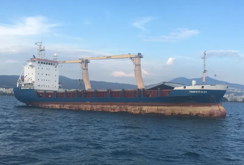 PRINCESS ALAA General Cargo IMO 9014286 photo 3