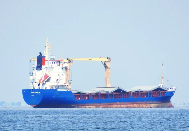 PRINCESS ALAA General Cargo IMO 9014286 photo 4