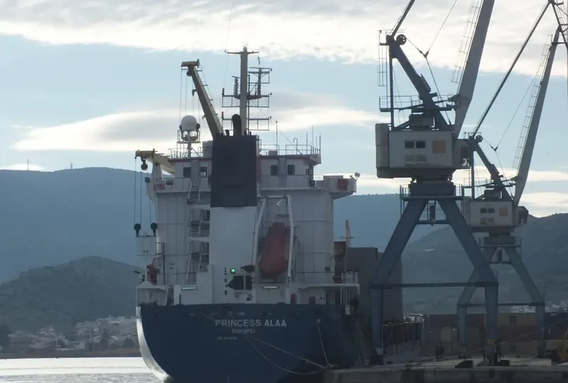 PRINCESS ALAA General Cargo IMO 9014286 photo 5