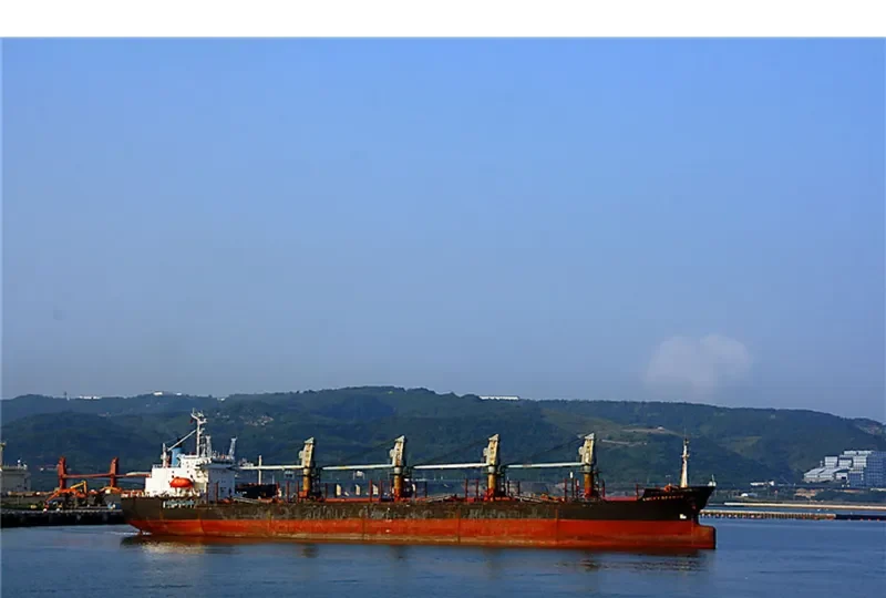 LUCKY SEAMAN Bulk Carrier IMO 9014406 photo 2