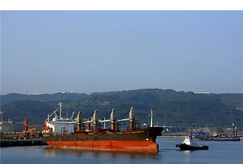 LUCKY SEAMAN Bulk Carrier IMO 9014406 photo 3