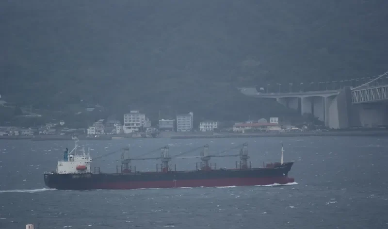 LUCKY SEAMAN Bulk Carrier IMO 9014406 photo 7