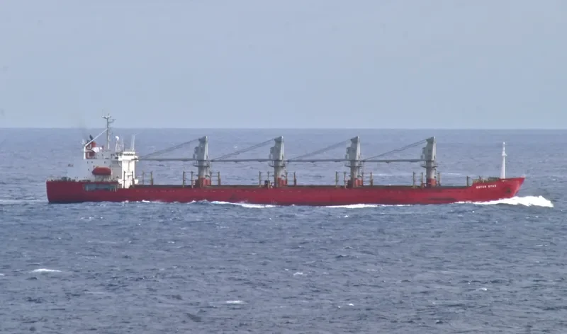 LUCKY SEAMAN Bulk Carrier IMO 9014406 photo 9