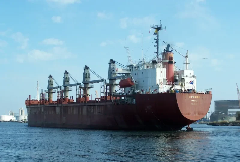LUCKY SEAMAN Bulk Carrier IMO 9014406 photo 10