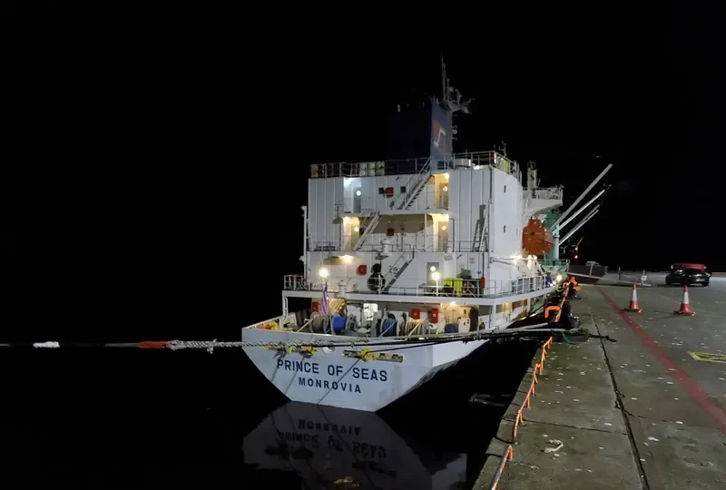 PRINCE OF SEAS General Cargo IMO 9014444