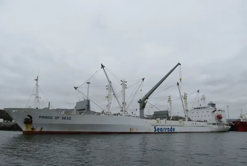PRINCE OF SEAS General Cargo IMO 9014444 photo 3