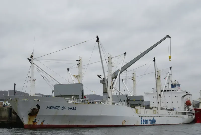 PRINCE OF SEAS General Cargo IMO 9014444 photo 4
