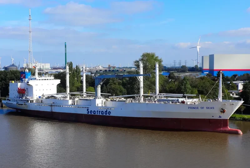 PRINCE OF SEAS General Cargo IMO 9014444 photo 6