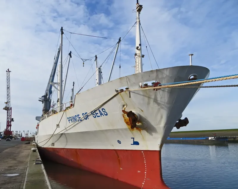 PRINCE OF SEAS General Cargo IMO 9014444 photo 7