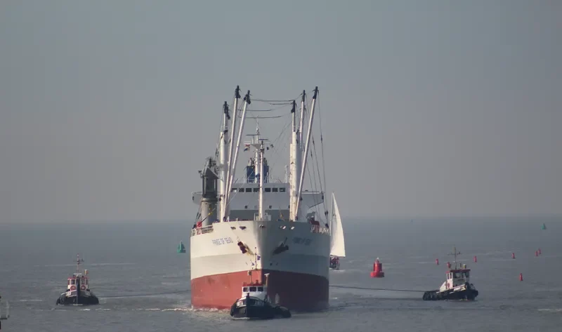 PRINCE OF SEAS General Cargo IMO 9014444 photo 9