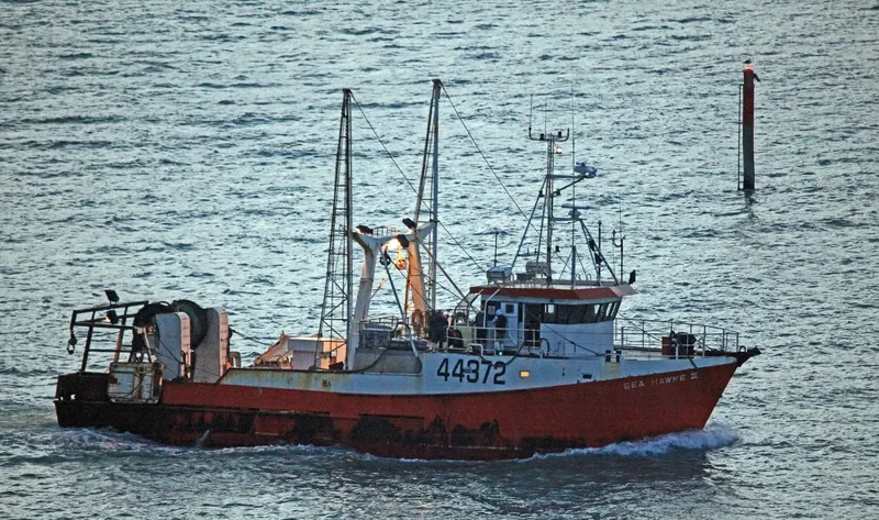 SEA HAWKE II General Cargo IMO 9014652 photo 3