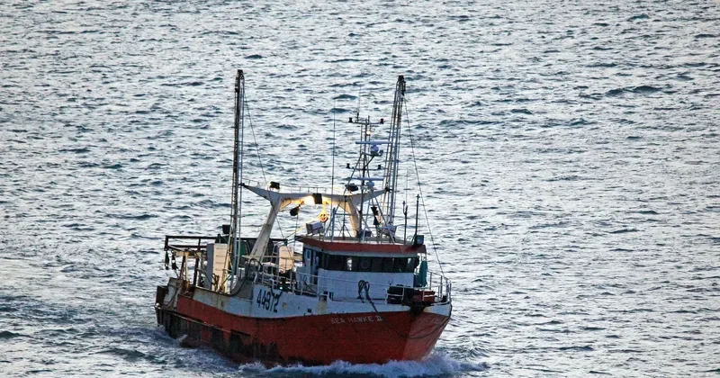 SEA HAWKE II General Cargo IMO 9014652 photo 4