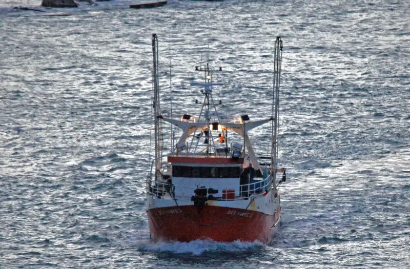 SEA HAWKE II General Cargo IMO 9014652 photo 5