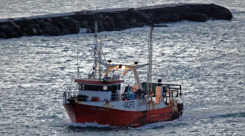 SEA HAWKE II General Cargo IMO 9014652 photo 6