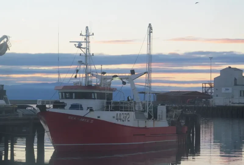 SEA HAWKE II General Cargo IMO 9014652 photo 9