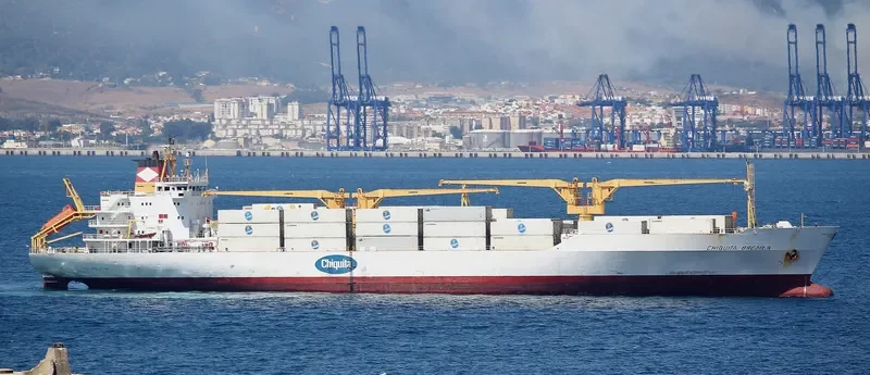 BALTIC WINTER General Cargo IMO 9014755 photo 9