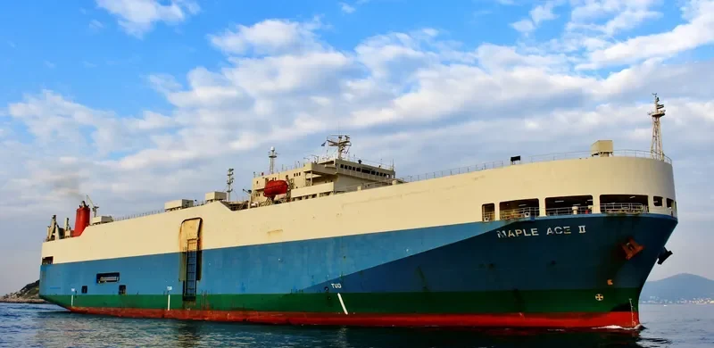 MAPLE ACE II General Cargo IMO 9014808 photo 4