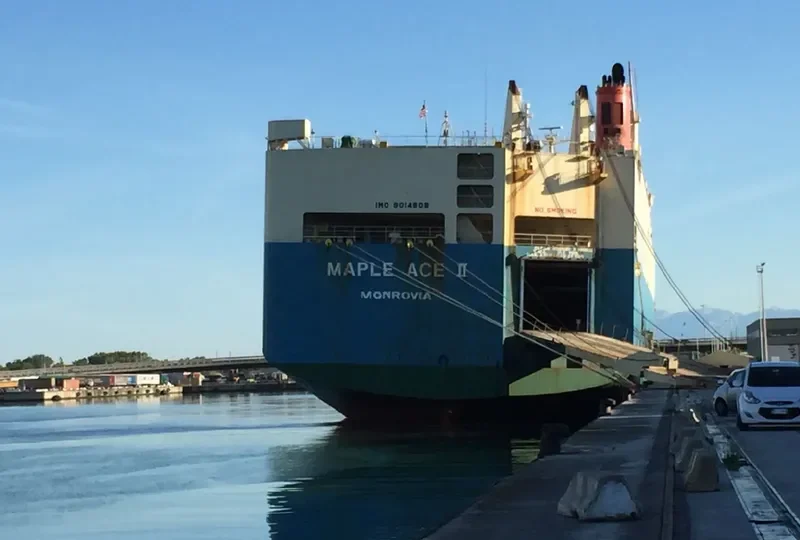 MAPLE ACE II General Cargo IMO 9014808 photo 8