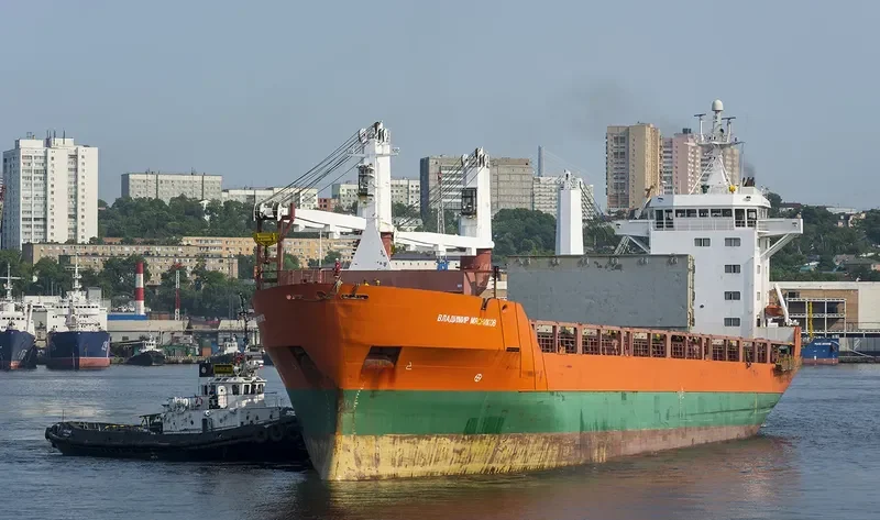VLADIMIR MYASNIKOV General Cargo IMO 9014884