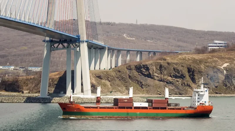 VLADIMIR MYASNIKOV General Cargo IMO 9014884 photo 2