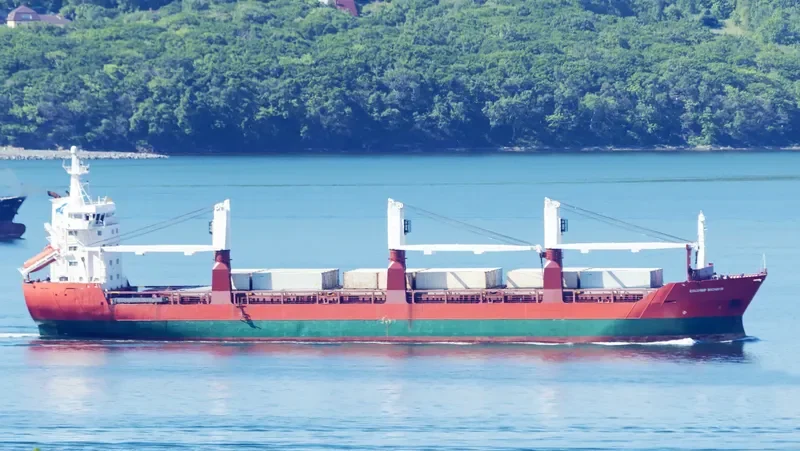 VLADIMIR MYASNIKOV General Cargo IMO 9014884 photo 6