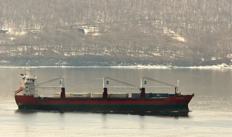 VLADIMIR MYASNIKOV General Cargo IMO 9014884 photo 8