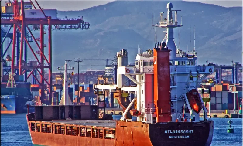 VLADIMIR MYASNIKOV General Cargo IMO 9014884 photo 10