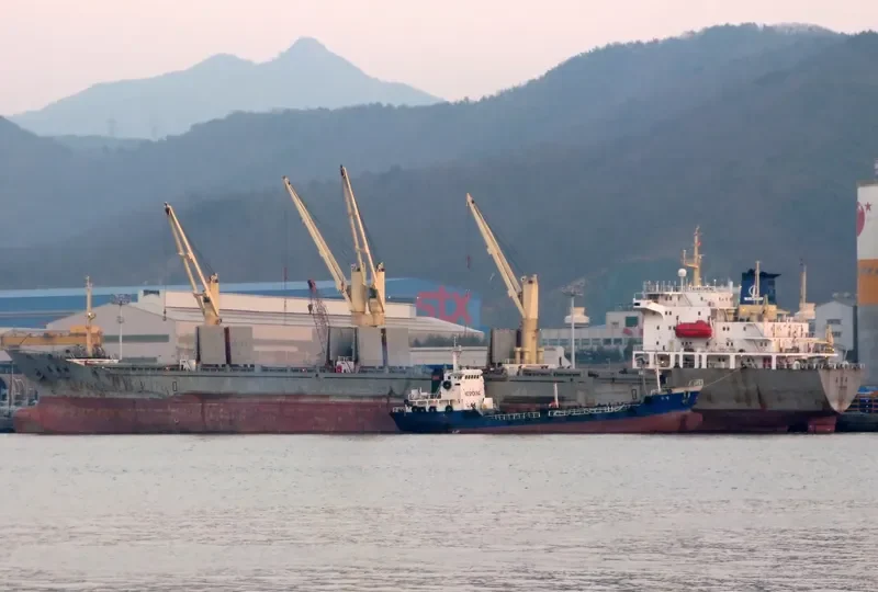TAI AN CHENG General Cargo IMO 9015008 photo 2