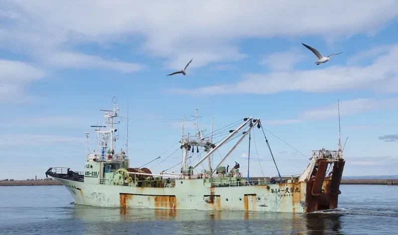 AMBON 1 General Cargo IMO 9015072