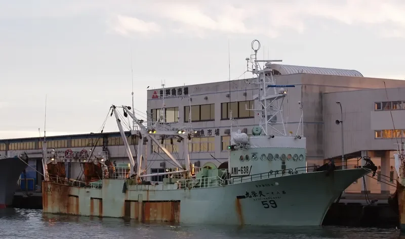 AMBON 1 General Cargo IMO 9015072 photo 2