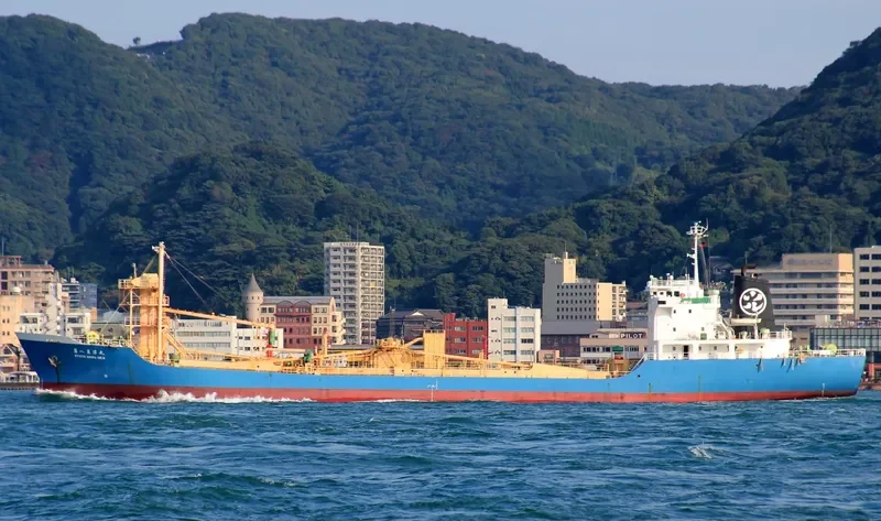 RYOKO 8 General Cargo IMO 9015096 photo 10