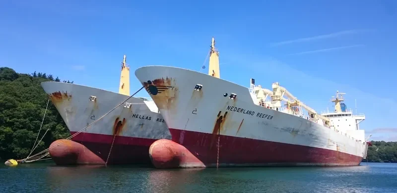 NEDERLAND REEFER General Cargo IMO 9015199 photo 3