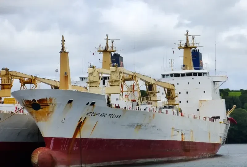 NEDERLAND REEFER General Cargo IMO 9015199 photo 5