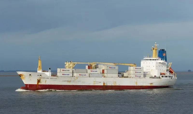 NEDERLAND REEFER General Cargo IMO 9015199 photo 7