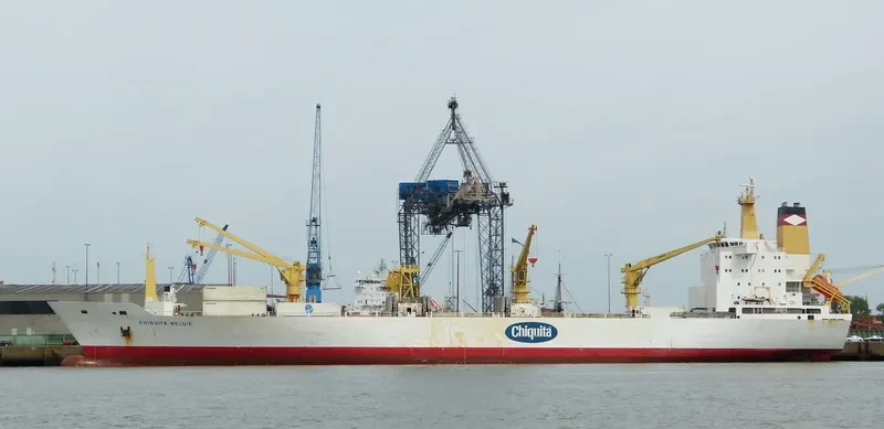 BELUGA REEFER General Cargo IMO 9015204