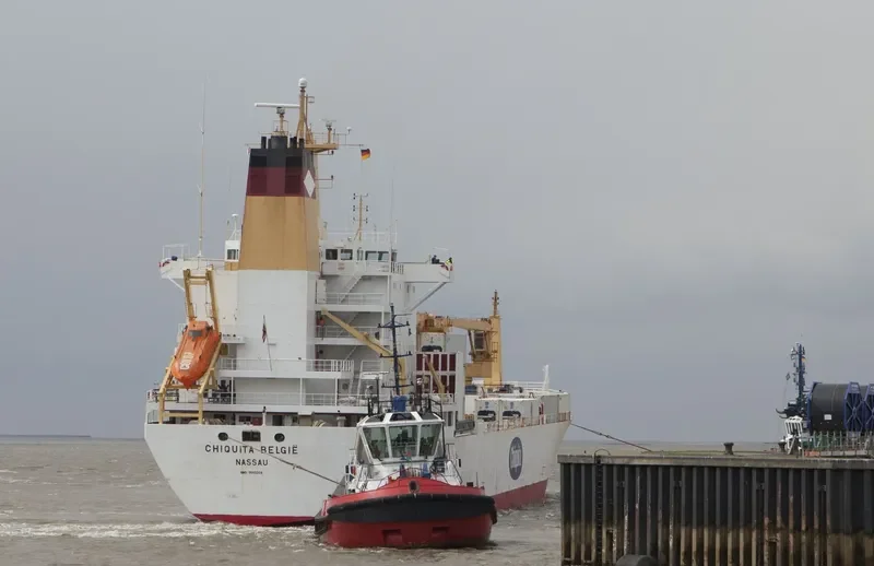 BELUGA REEFER General Cargo IMO 9015204 photo 2