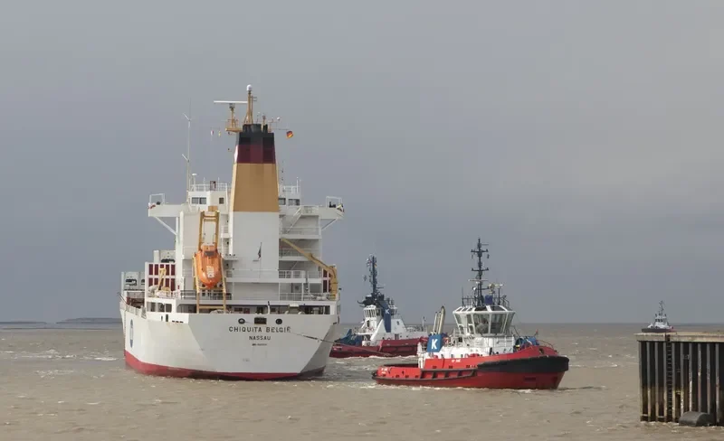 BELUGA REEFER General Cargo IMO 9015204 photo 3