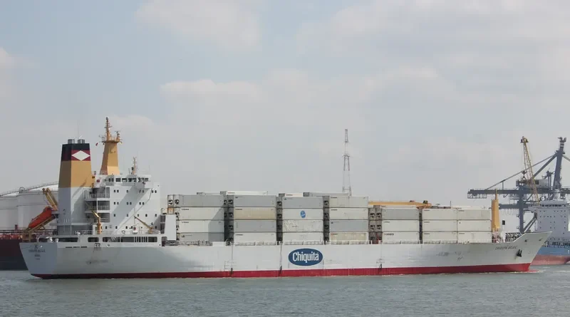 BELUGA REEFER General Cargo IMO 9015204 photo 9
