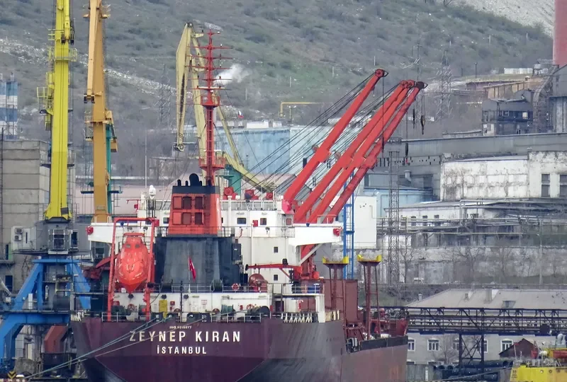 ZEYNEP KIRAN Bulk Carrier IMO 9015577 photo 2