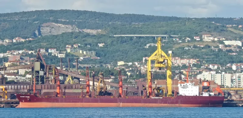 ZEYNEP KIRAN Bulk Carrier IMO 9015577 photo 6