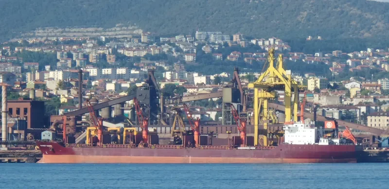ZEYNEP KIRAN Bulk Carrier IMO 9015577 photo 7