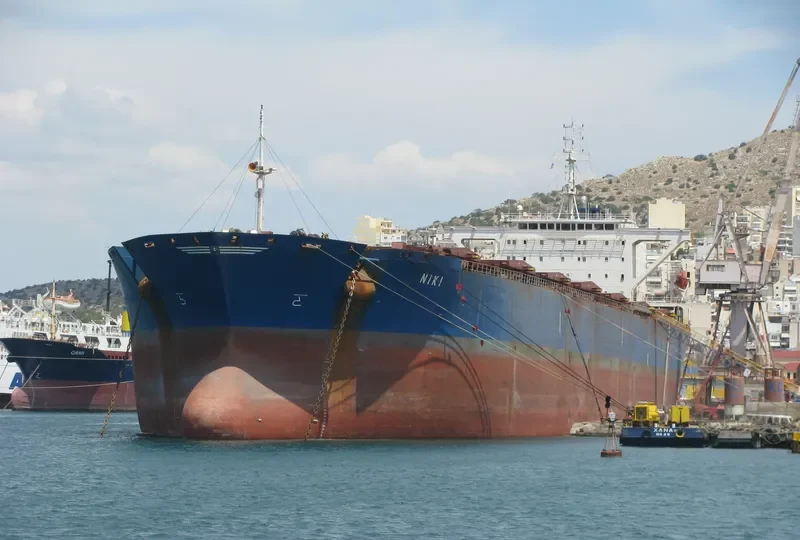 HAFEET Bulk Carrier IMO 9015591