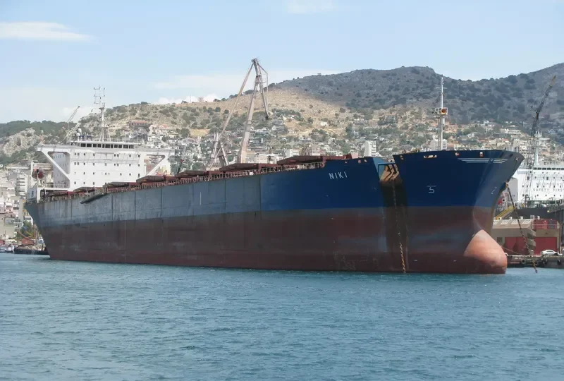 HAFEET Bulk Carrier IMO 9015591 photo 2
