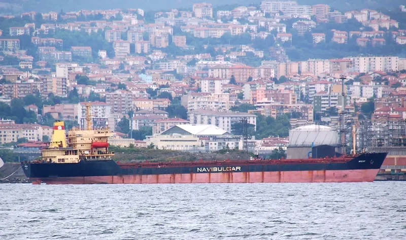 MIDJUR Bulk Carrier IMO 9015656 photo 4