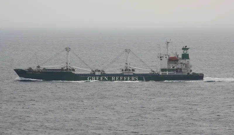 FRIO KIANIT General Cargo IMO 9015785 photo 2