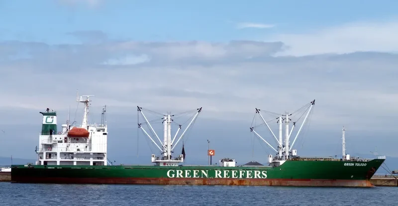 FRIO KIANIT General Cargo IMO 9015785 photo 3