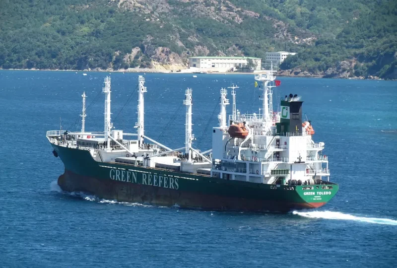 FRIO KIANIT General Cargo IMO 9015785 photo 9