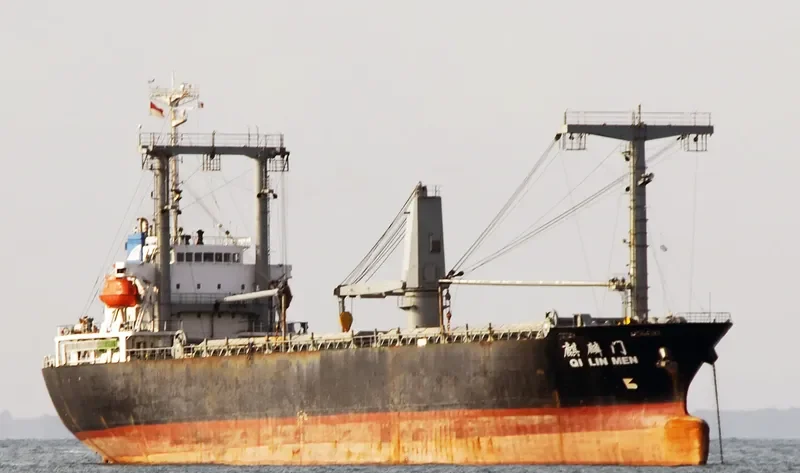 QI LIN MEN General Cargo IMO 9015802